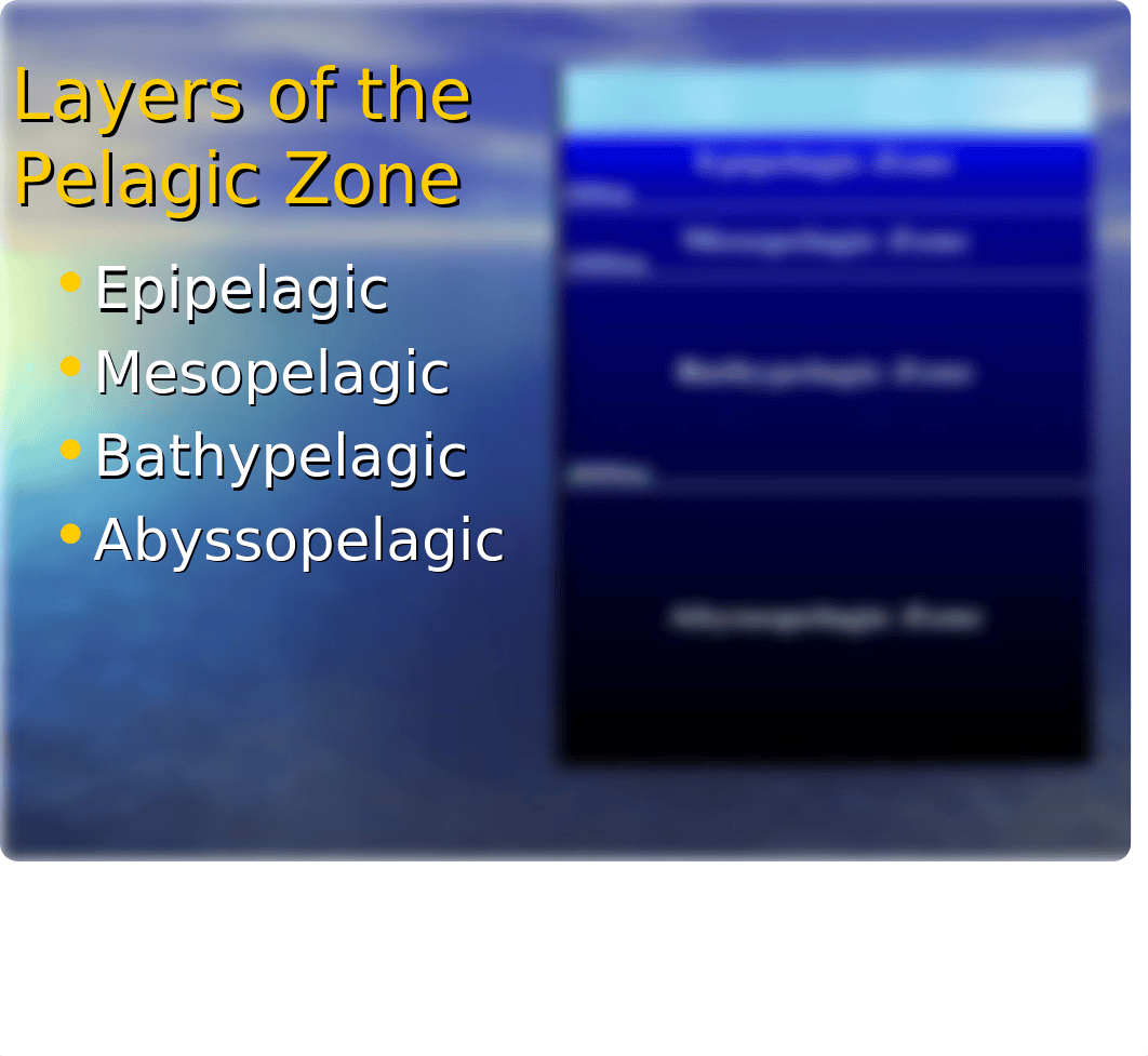 Pelagic+zone.ppt_d18mt3xltbz_page5