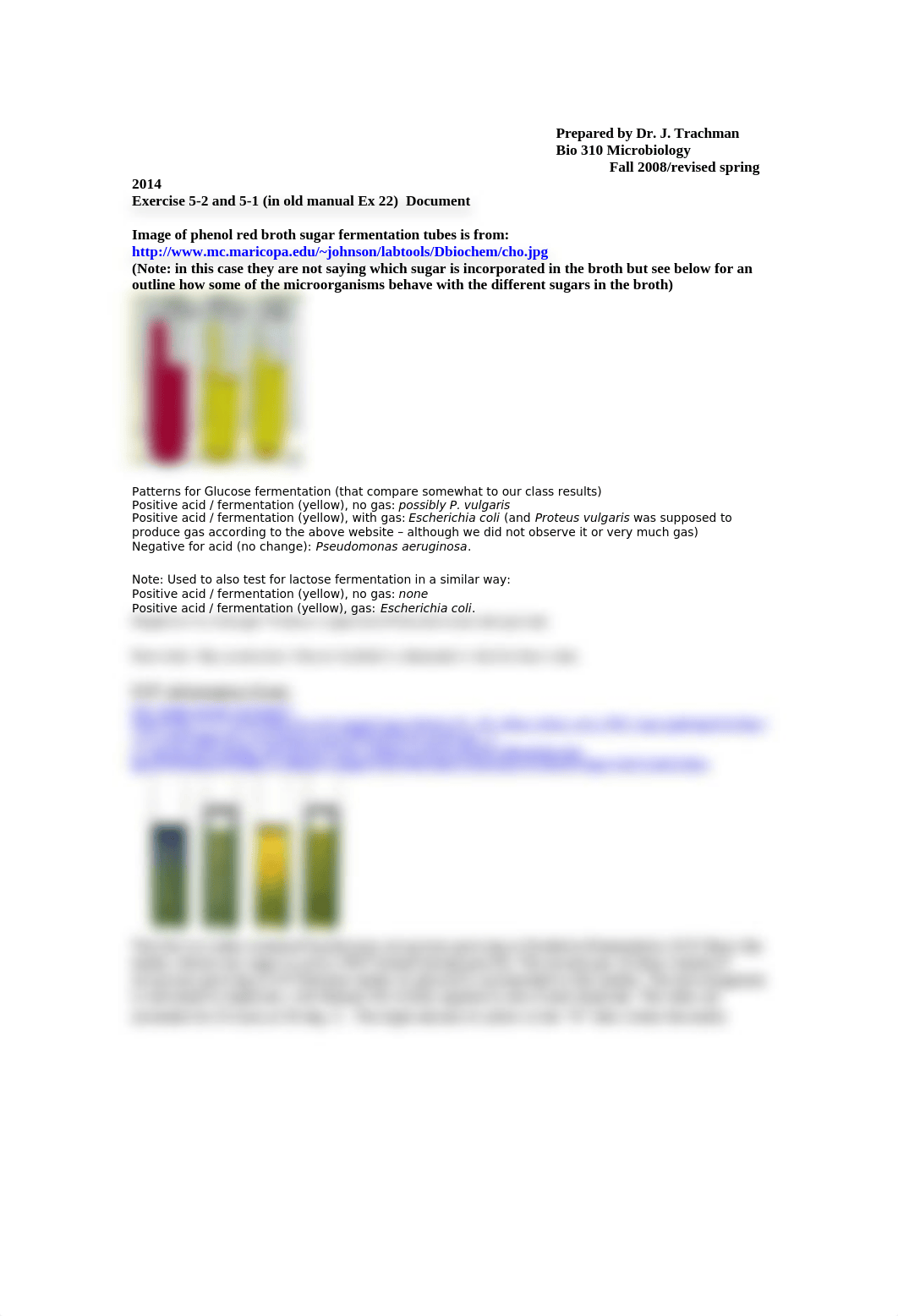 ex 5-2_ 5-1 Phenol red glu_O-F nee ex22_s14.doc_d18tsxfm32z_page1