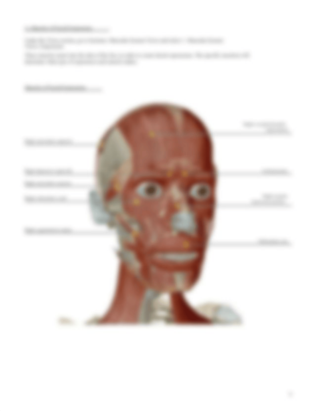 lab manual_muscular head and neck_atlas.pdf_d193a1msh4q_page4