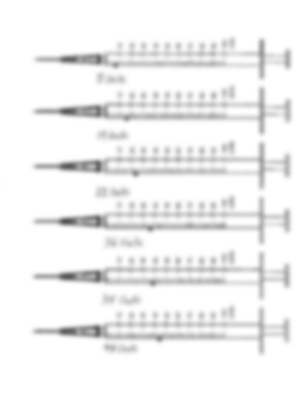 N 102 Syringes Practice-vp.pdf_d196j09shdy_page2