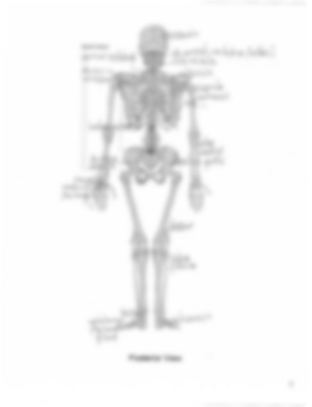 Lab 7 -Skeleton label.pdf_d19amvc1uz4_page2