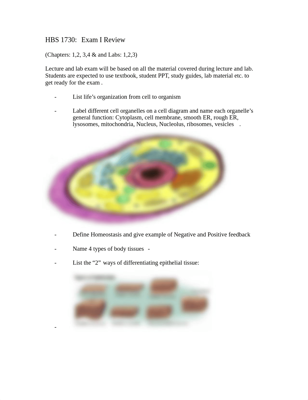 HBS Exam I review updated.doc_d19gdw47zgr_page1