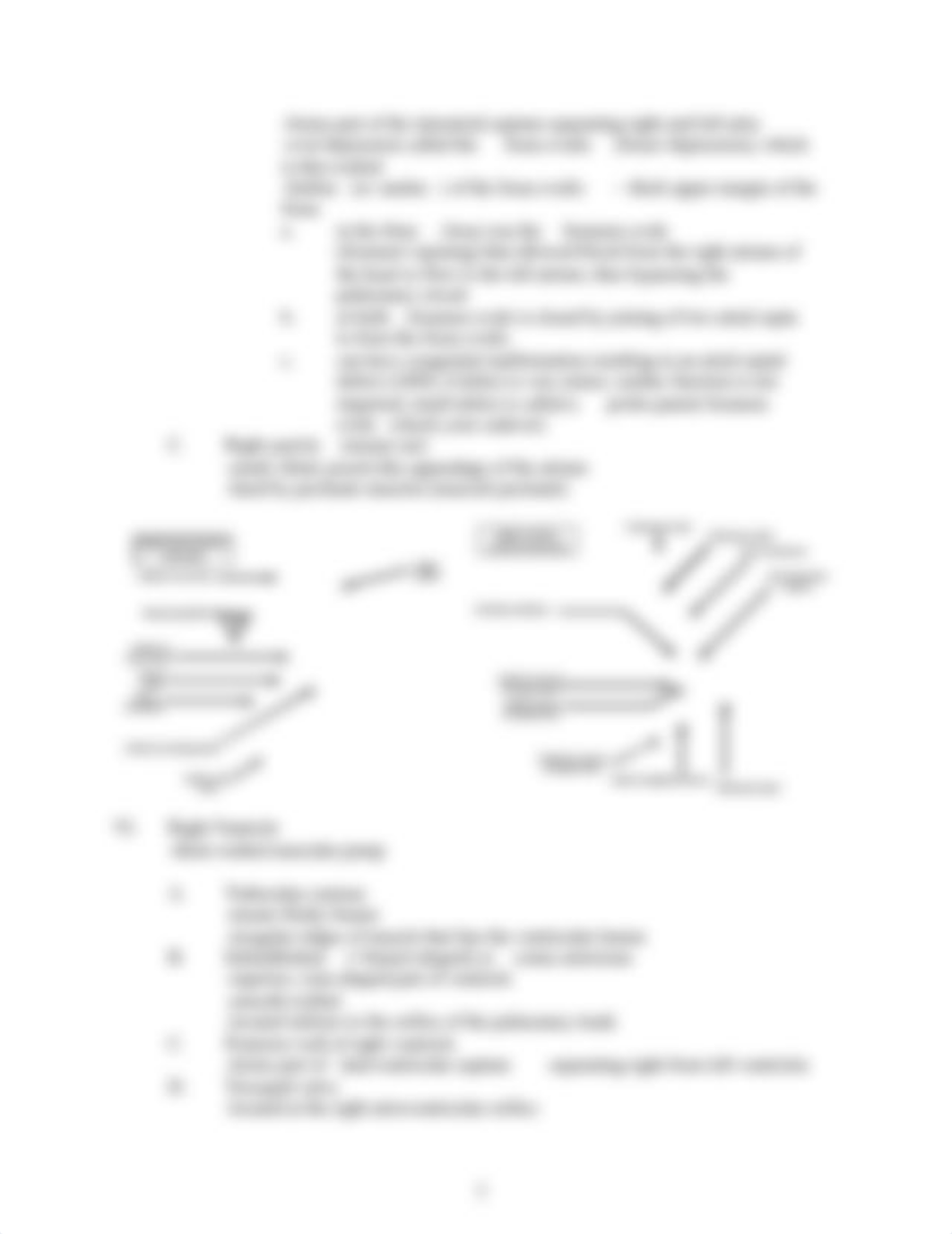 Heart & Cardiovascular System.docx_d19j9wvxeg7_page3