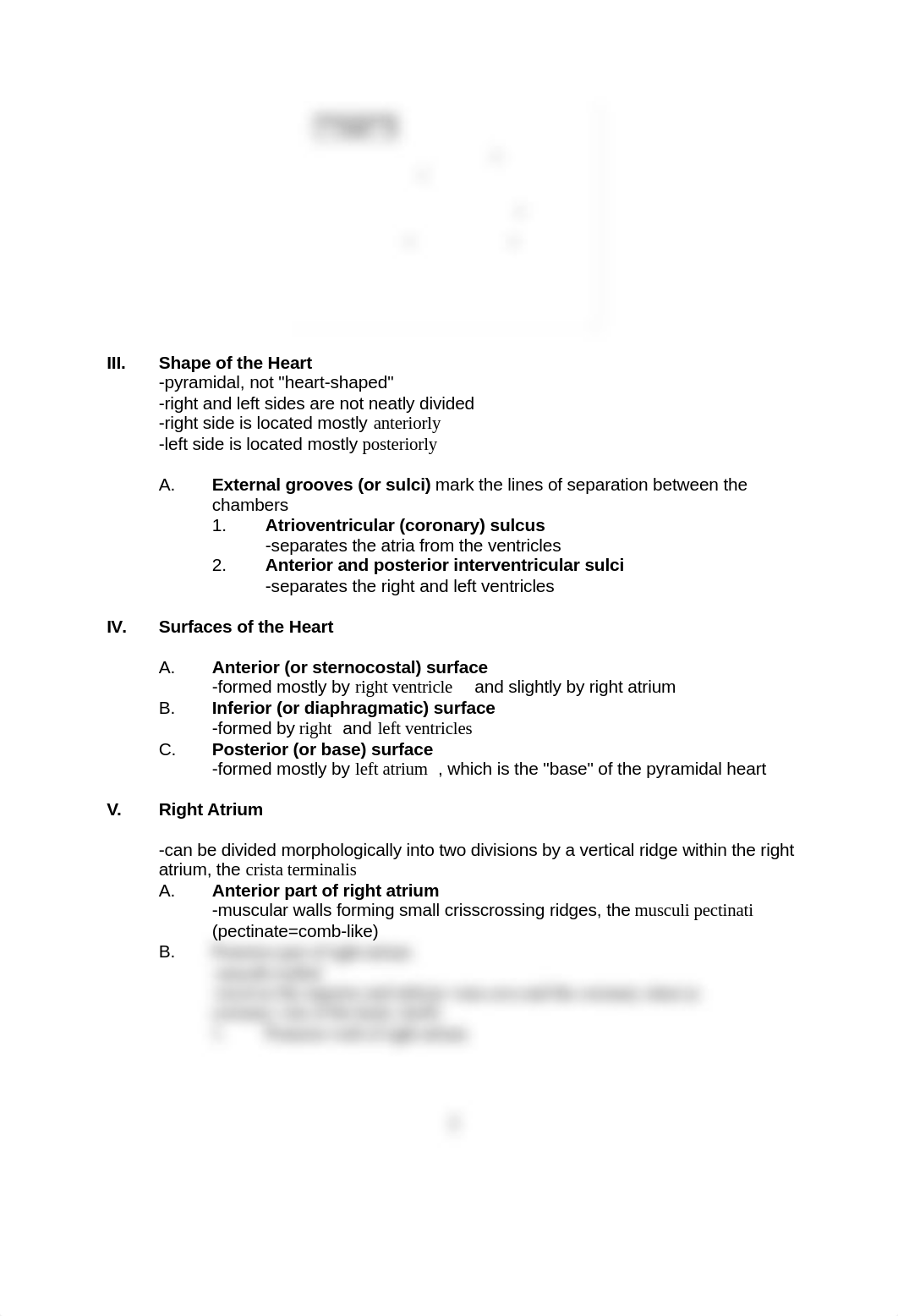 Heart & Cardiovascular System.docx_d19j9wvxeg7_page2