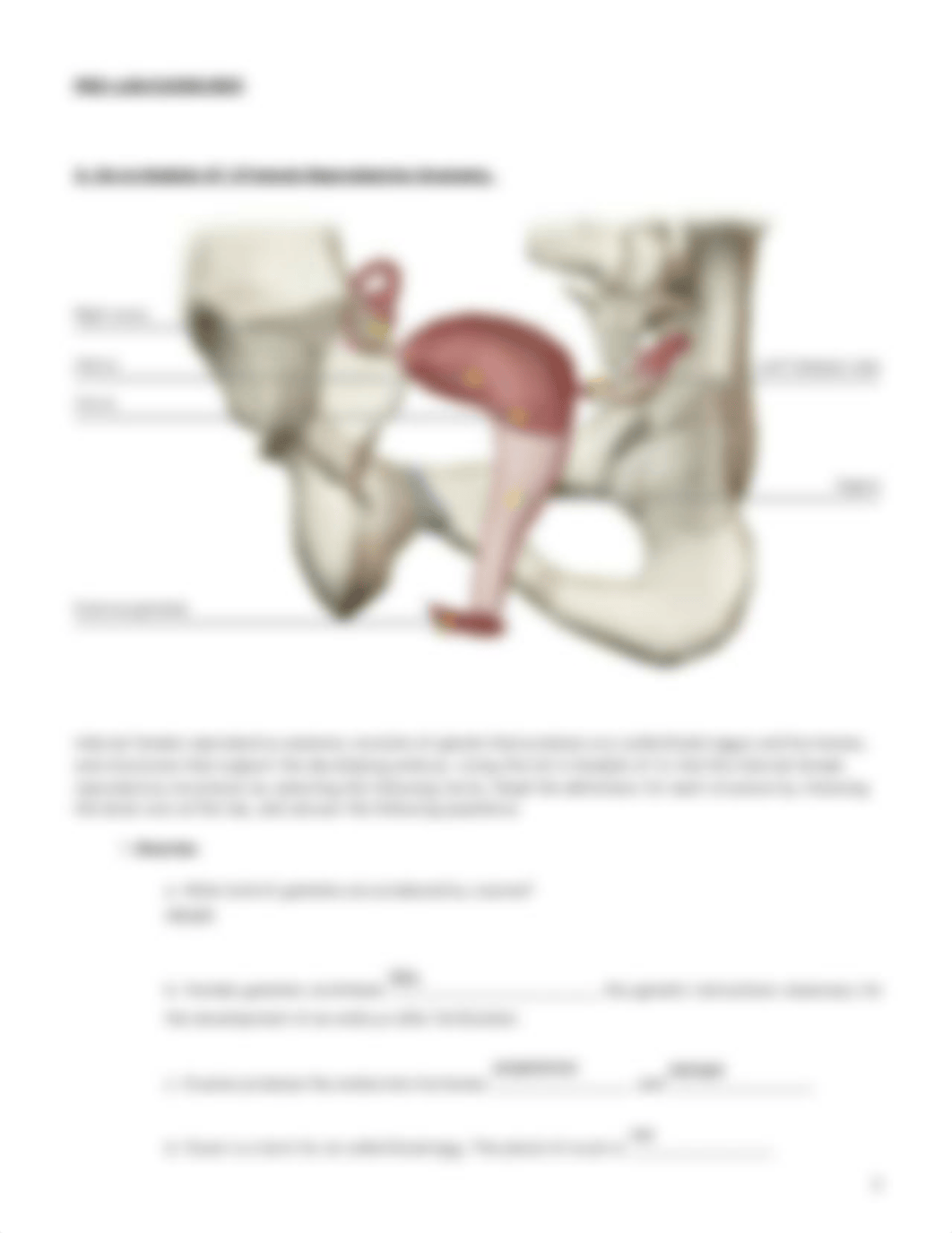 lab_manual_reproductive_female_a_p__1_.pdf.pdf_d19ljbyob5g_page2