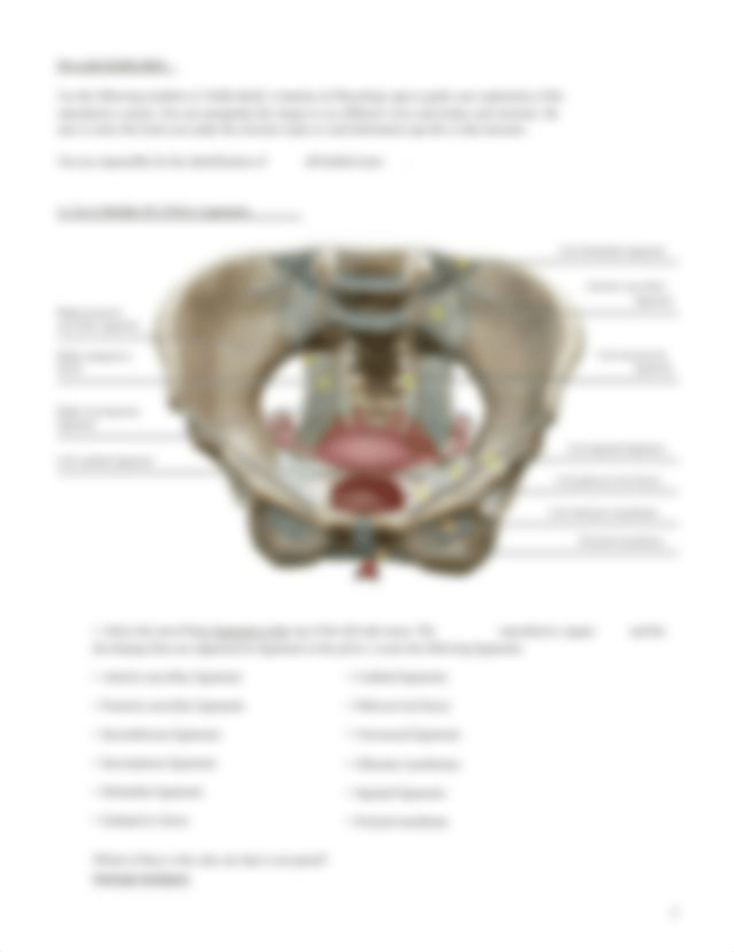 lab_manual_reproductive_female_a_p__1_.pdf.pdf_d19ljbyob5g_page5