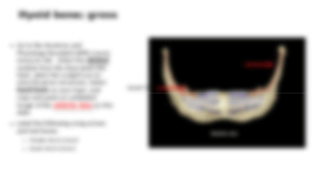 Skeleton Part I B - WP.pptx_d19x72nihne_page5