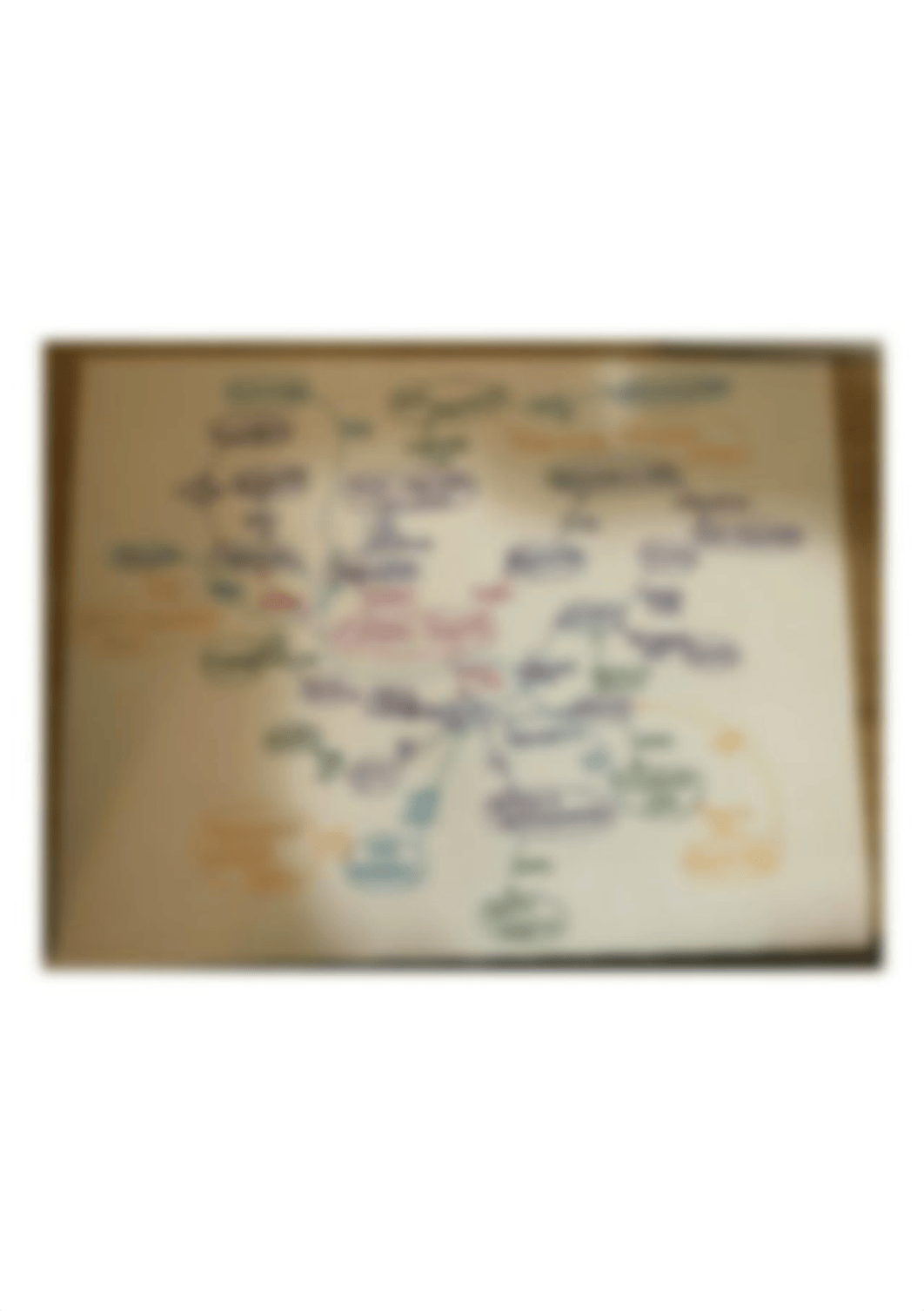 Central Dogma concept map.jpg_d1a1giomm1z_page1