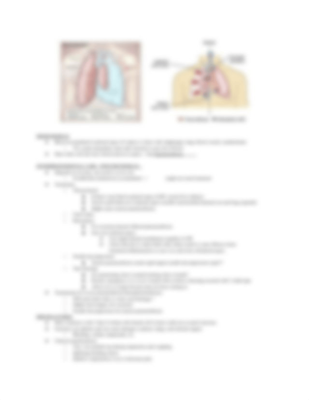 MS EXAM 3 OUTLINE.docx_d1a3cbw4v5f_page3