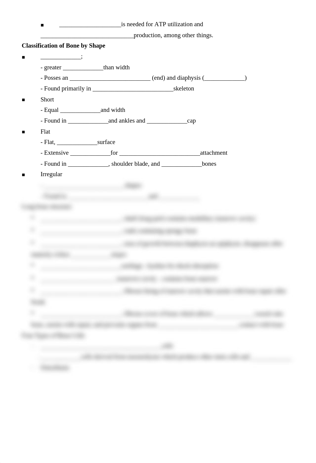 Chapter 6 Anatomy.doc_d1a5w6iyndt_page3