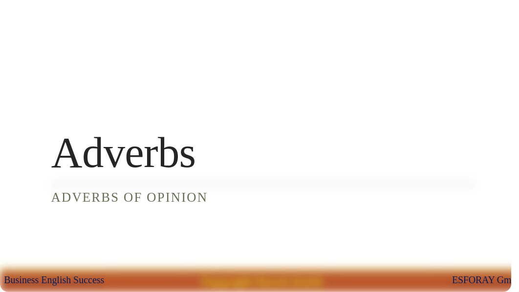 14.1 adverbs_of_opinion.pdf.pdf_d1a8lw1ag6s_page1