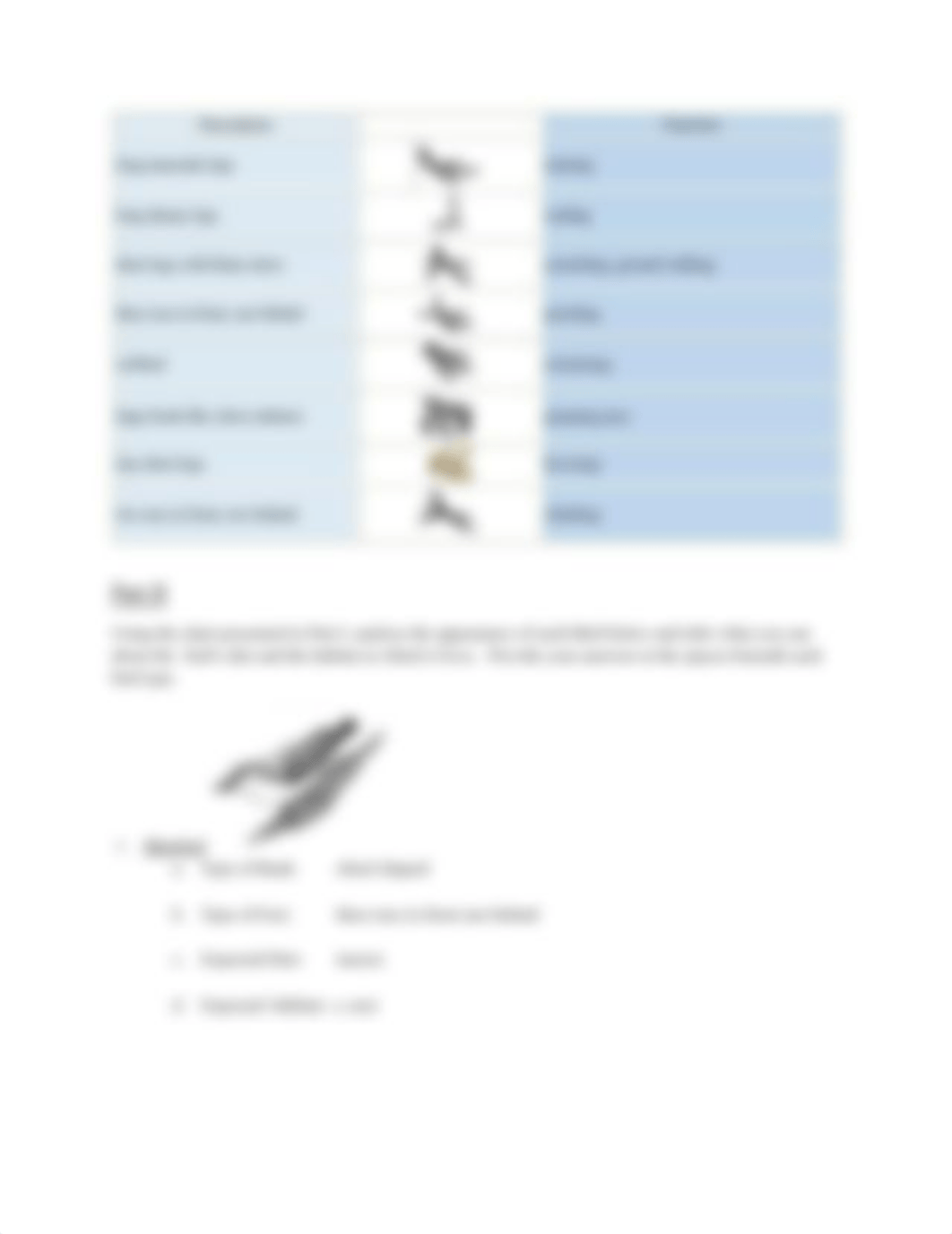 bio Week 6 Lab Activity-Form-1.pdf_d1ad6660gb3_page2