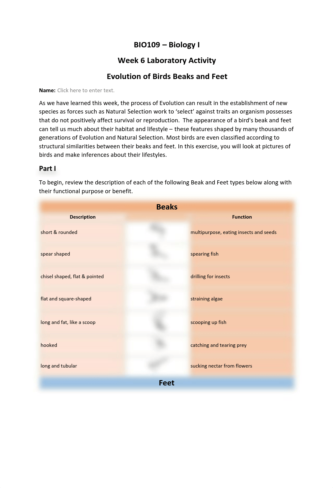 bio Week 6 Lab Activity-Form-1.pdf_d1ad6660gb3_page1