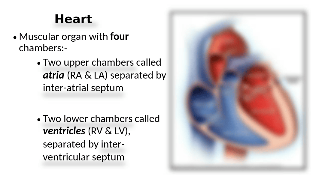 EKG Part I.pptx_d1ag2vf8vyh_page3