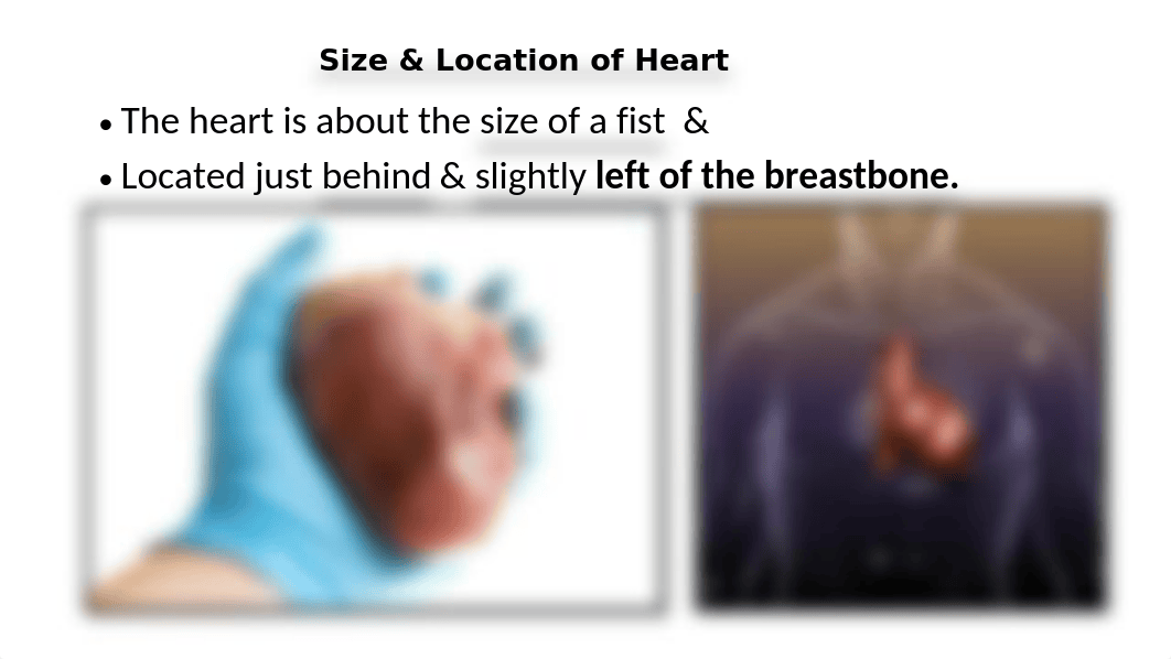 EKG Part I.pptx_d1ag2vf8vyh_page4