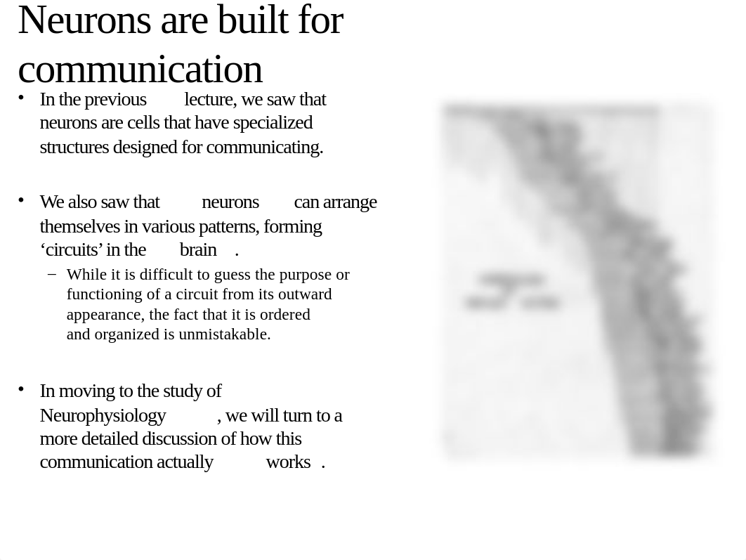 NEUR_1203C- L4-Communication in the nervous systemcuLearn post.pptx_d1ag9i4mcd0_page2