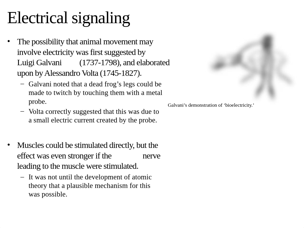 NEUR_1203C- L4-Communication in the nervous systemcuLearn post.pptx_d1ag9i4mcd0_page4