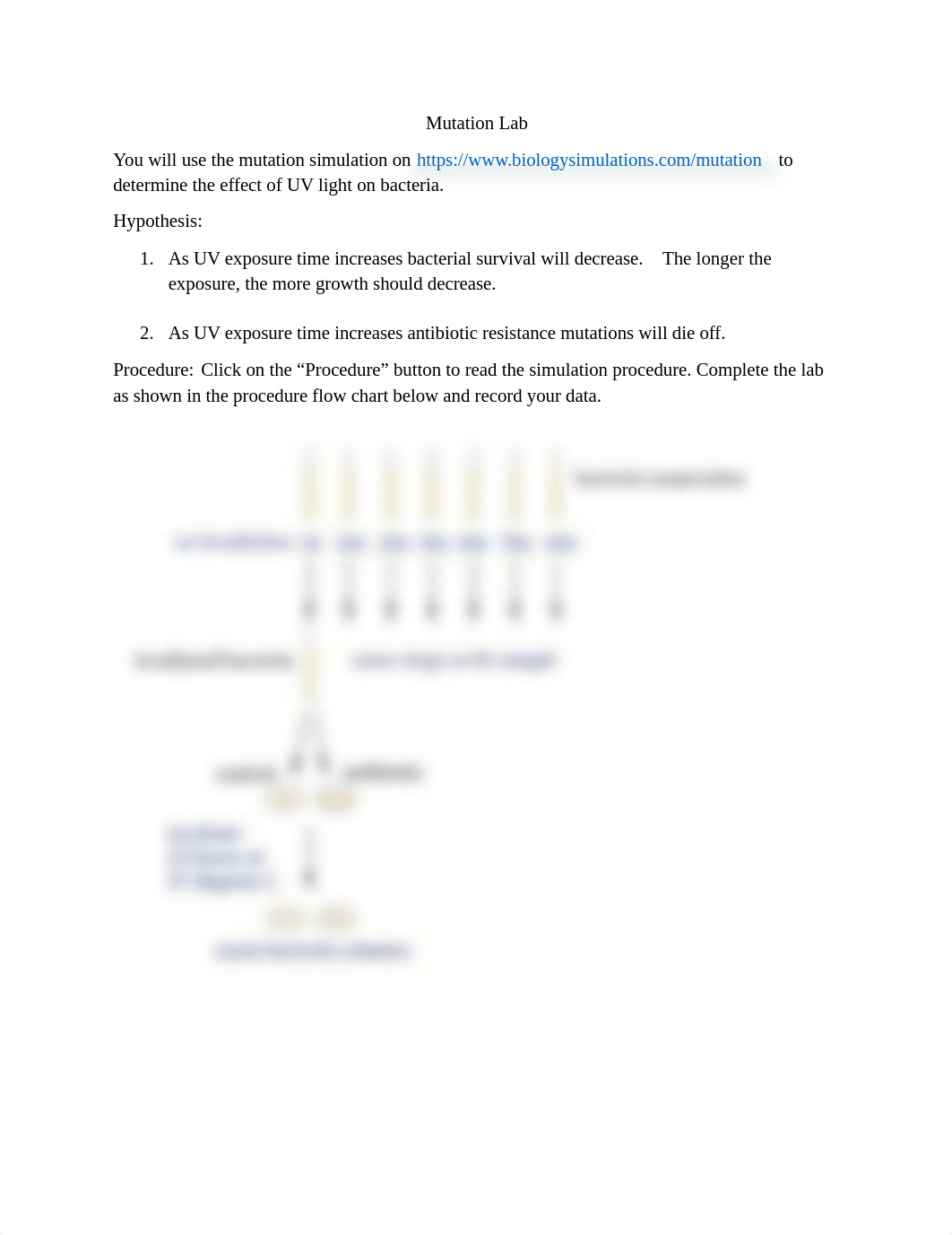 mutations_lab_d1aujqk7bjy_page1