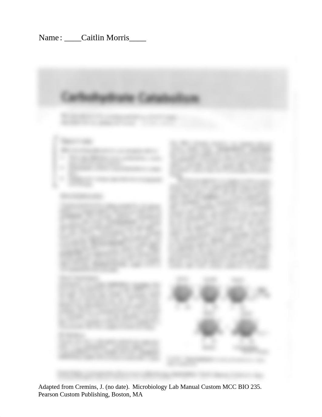 Carbohydrate Catabolism.pdf_d1axo1xs56j_page1