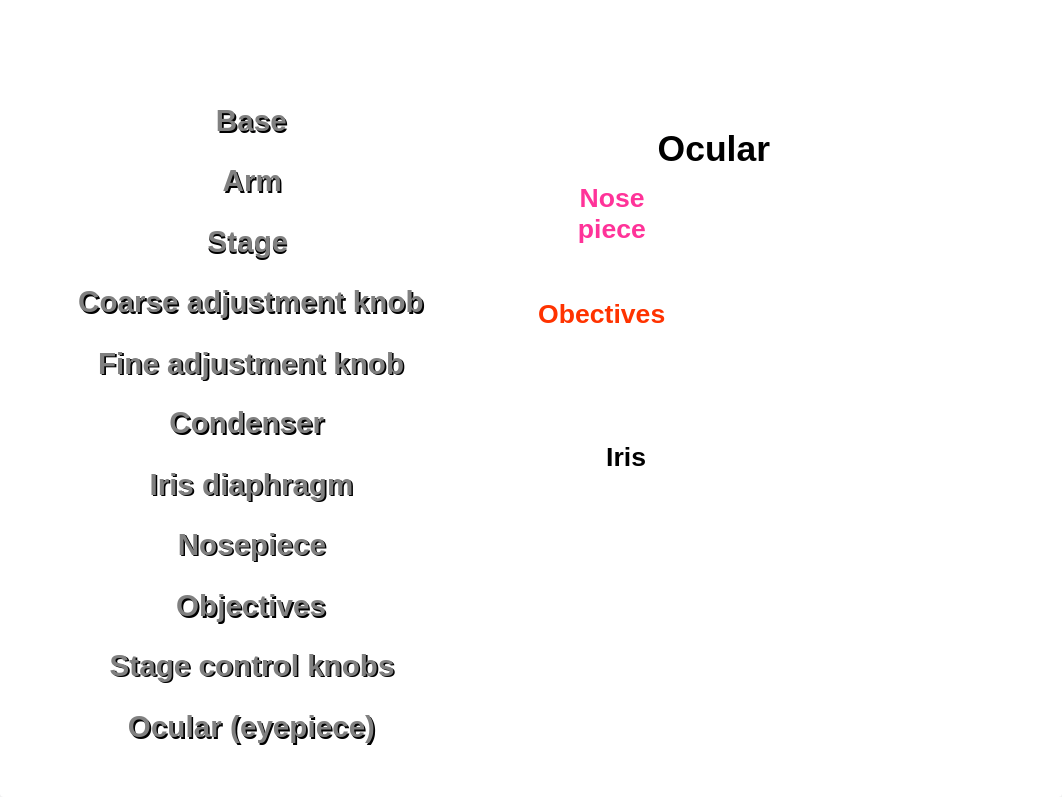 Lab Ch 2-4 Microscope Cell Structure Mitosis_d1b3t8xq4hw_page2