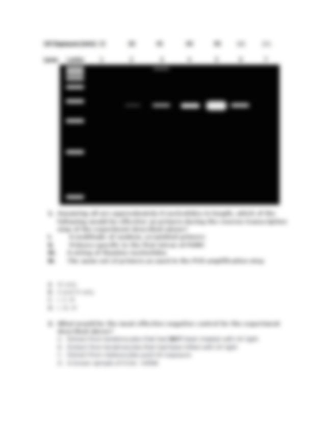 17. Reverse transcriptase polymerase chain reaction (RT-PCR) of a UV-dependent gene.docx_d1bc6rgoauc_page3