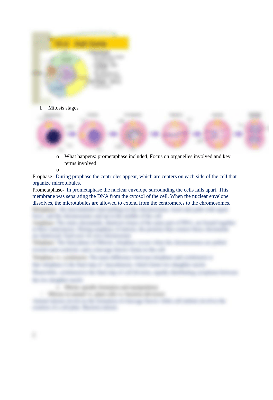 BIOL 1406-Exam #4.docx_d1bhgtbgz7z_page2