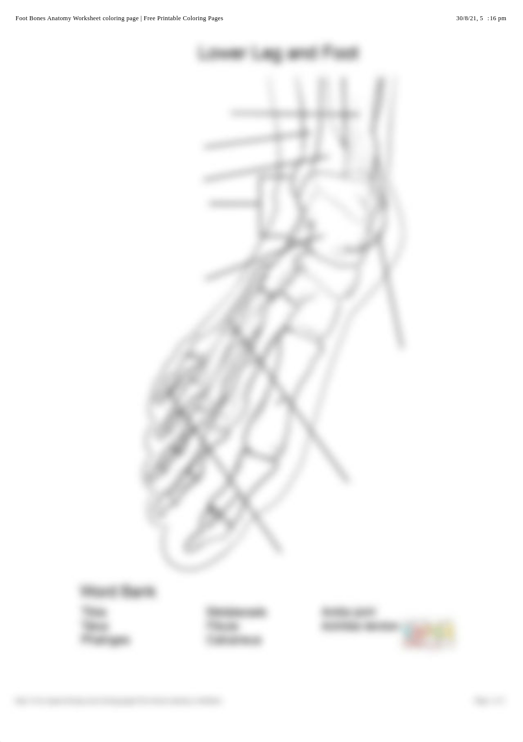 Foot Bones Anatomy Worksheet coloring page | Free Printable Coloring Pages.pdf_d1bjcagh9a7_page1