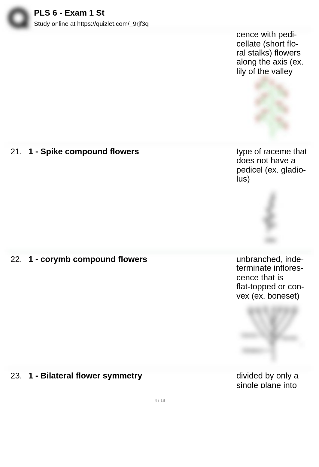 flower exam 1 .pdf_d1blrwnbxcc_page4