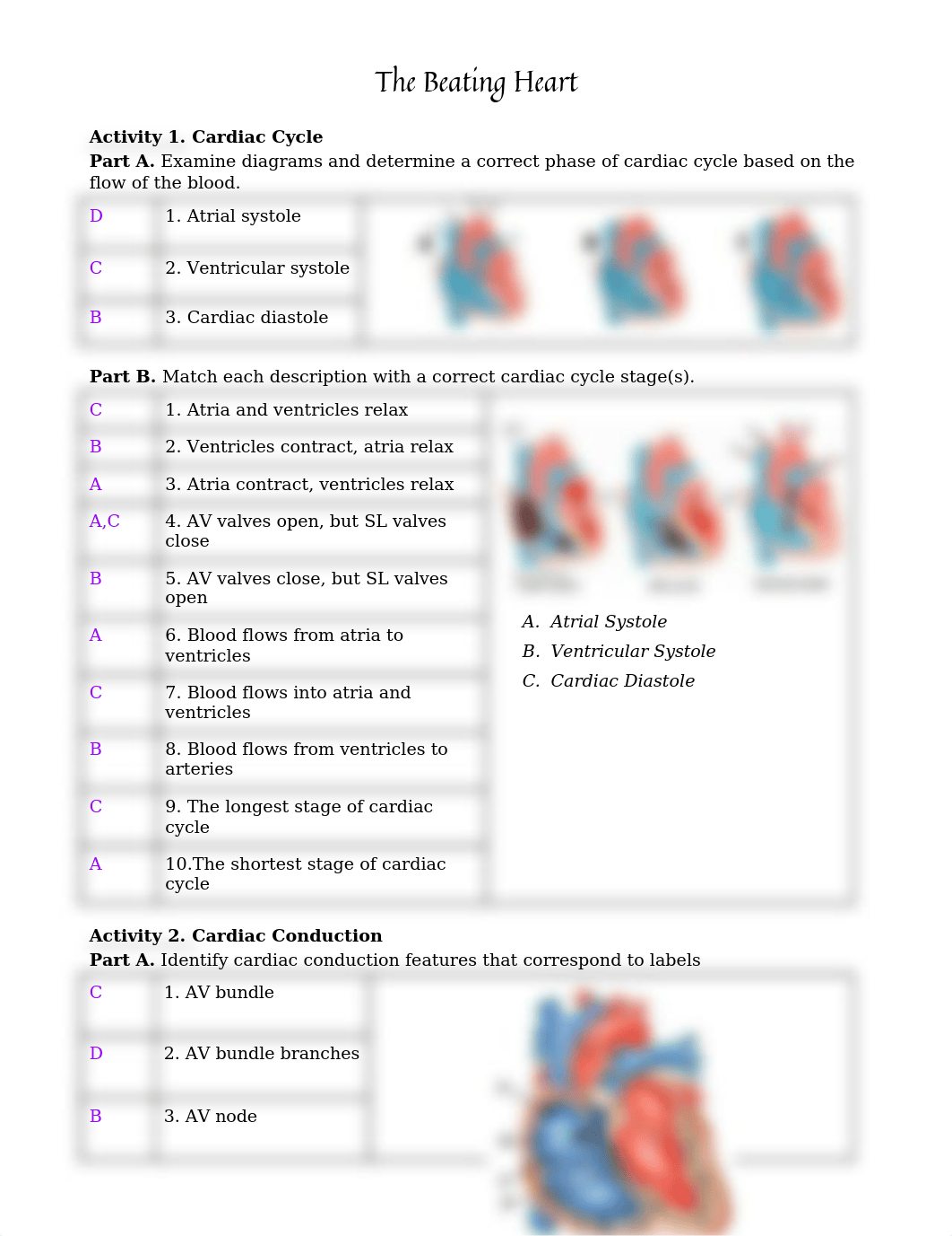 Ashlyn_Beating_Heart_Worksheet_d1bmsffb2xo_page1