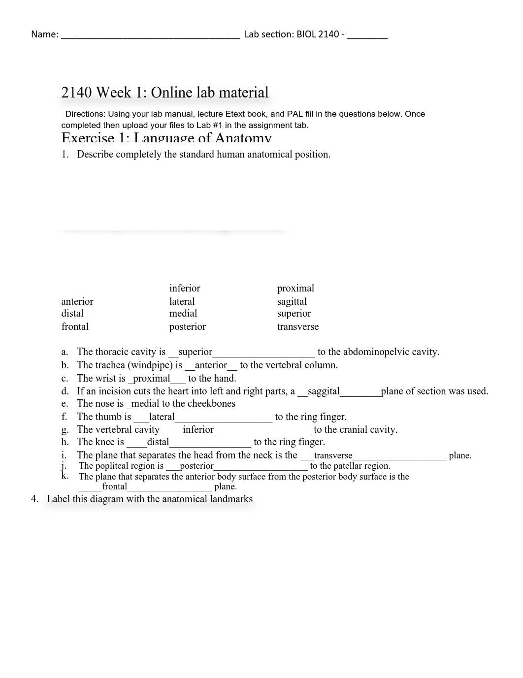 week 1 lab manual .pdf_d1bsboopfot_page1