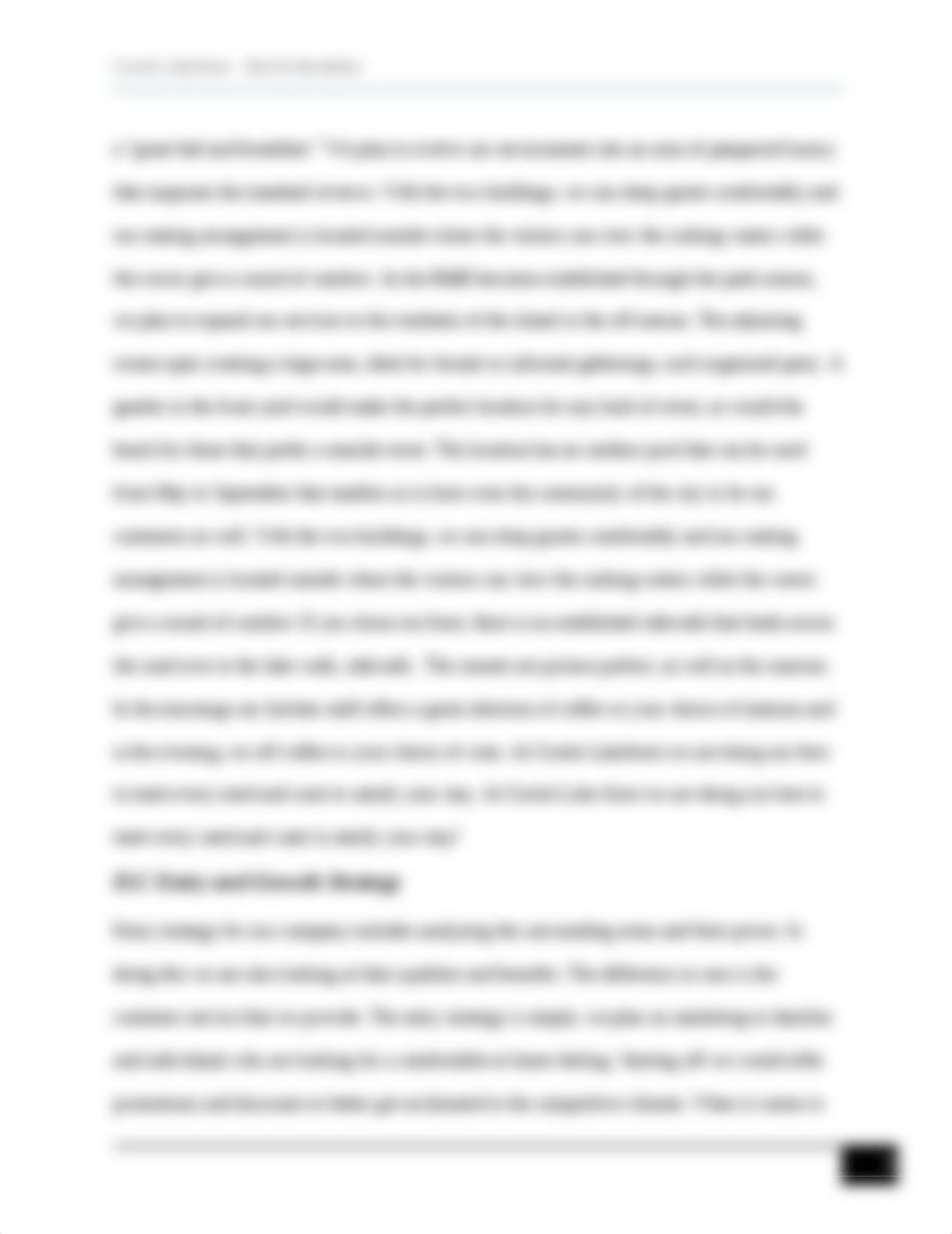 Business plan.docx_d1c59byrer7_page5