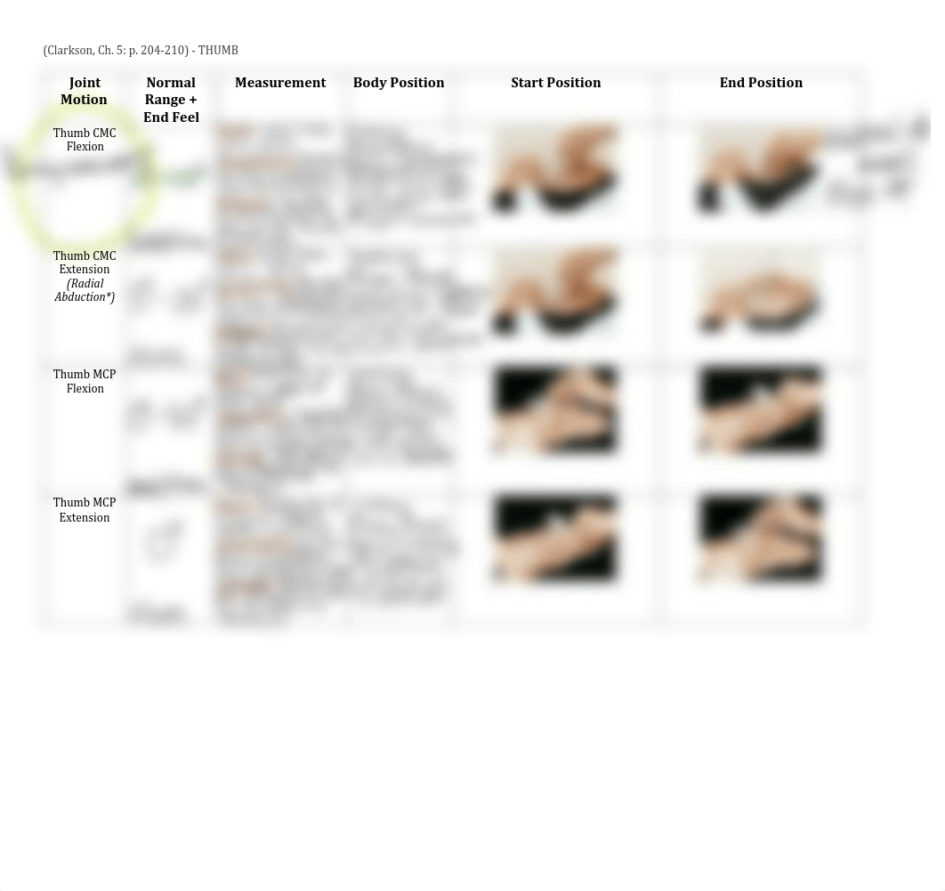 Hand Lab copy.pdf_d1c8z0fytvn_page5