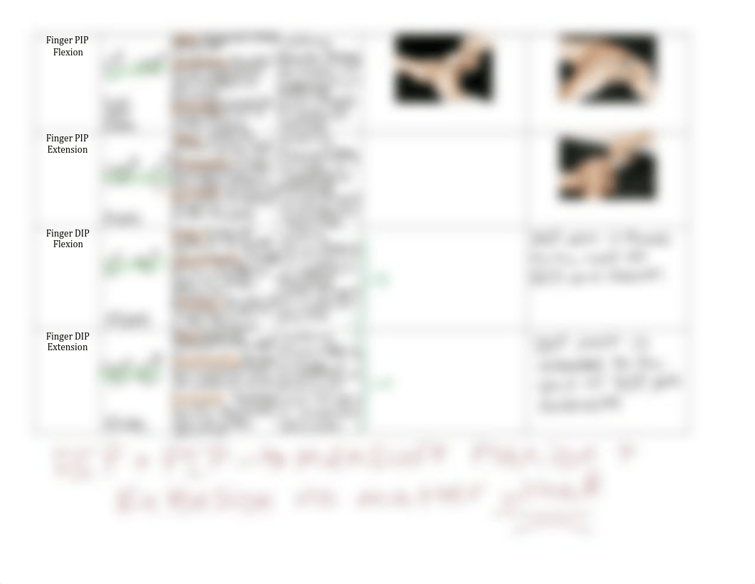 Hand Lab copy.pdf_d1c8z0fytvn_page4