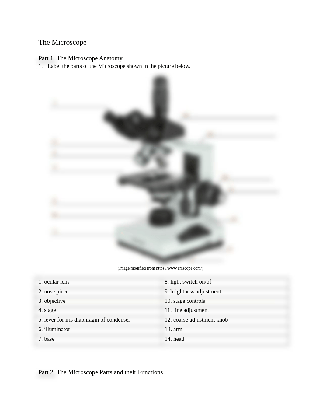 Activtiy Worksheet Microscope.docx_d1cajycskqf_page1