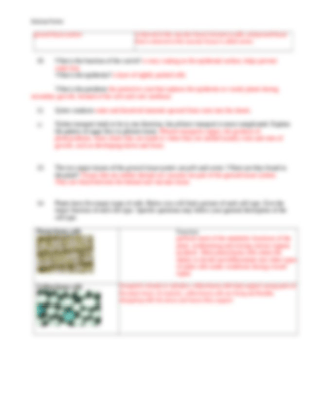 BIO 102 Chapter 28 GSW.docx_d1cczt0cjrz_page3