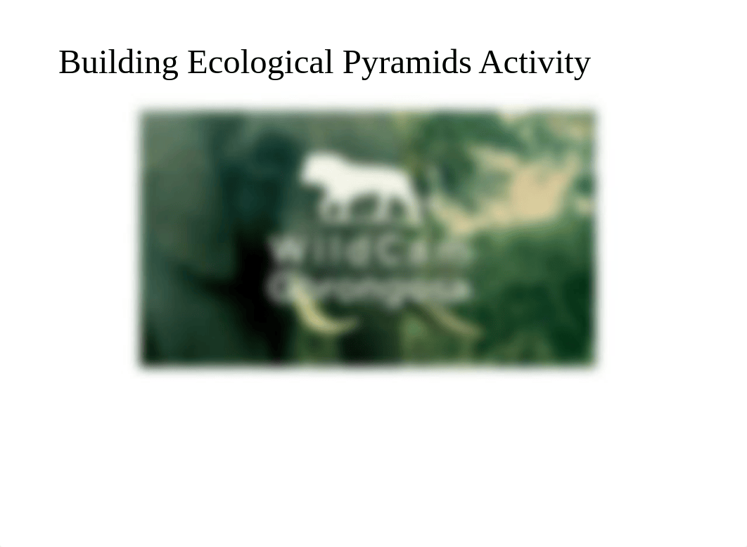 Building Ecological Pyramids Lab Presentation.pptx_d1cg1vw42t8_page4