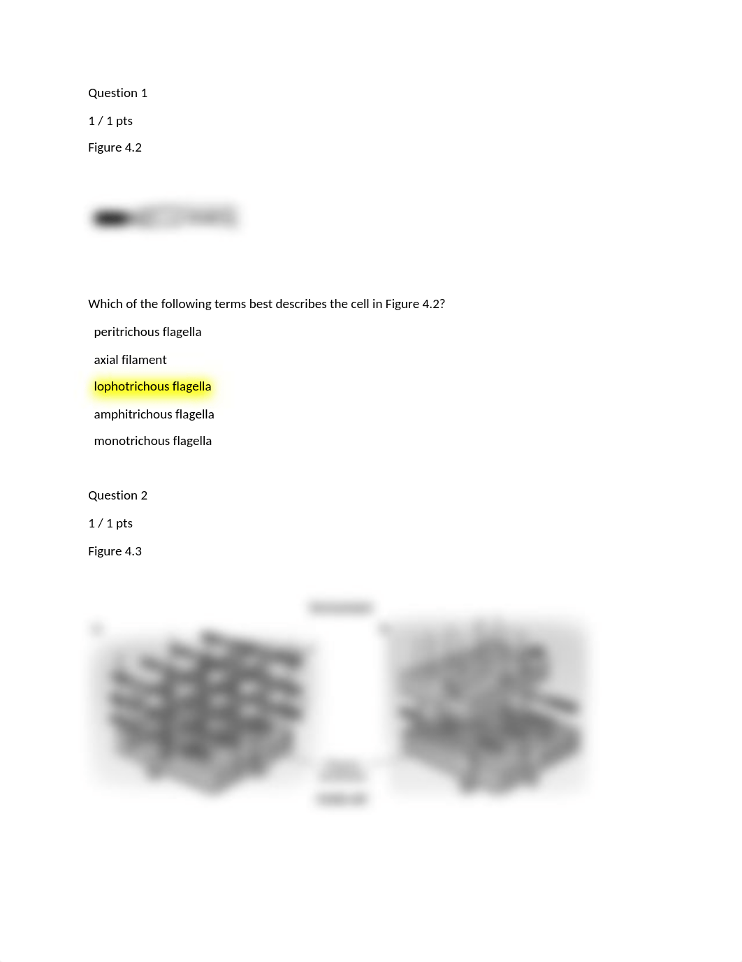 Quiz 3.docx_d1ckki26jg0_page1