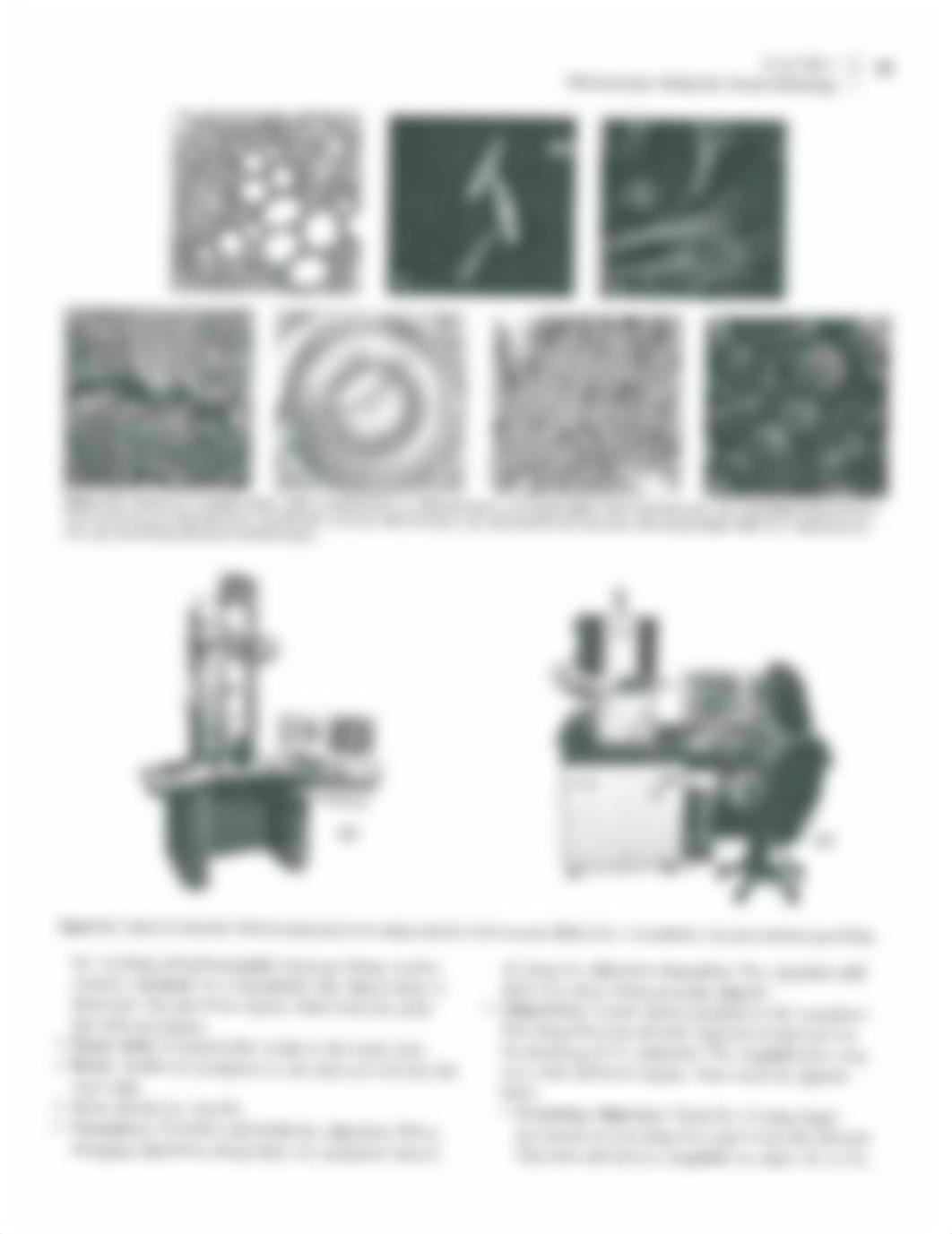 Lab 4 Microscopy.pdf_d1cnbu47mc0_page3