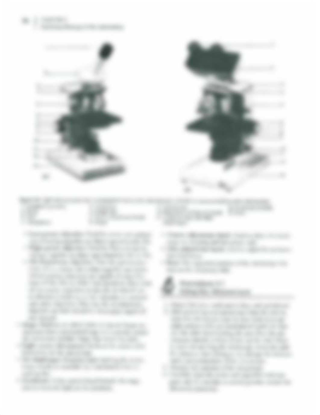 Lab 4 Microscopy.pdf_d1cnbu47mc0_page4