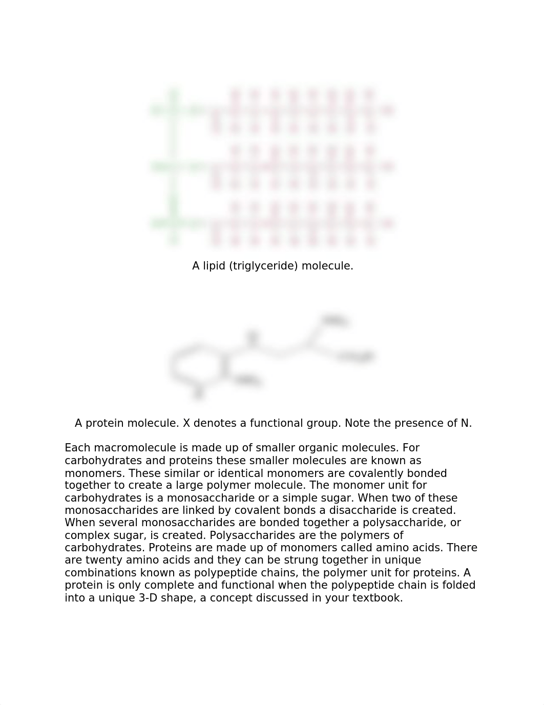 Lab 3 BIO 1.docx_d1cs1hjk58z_page2