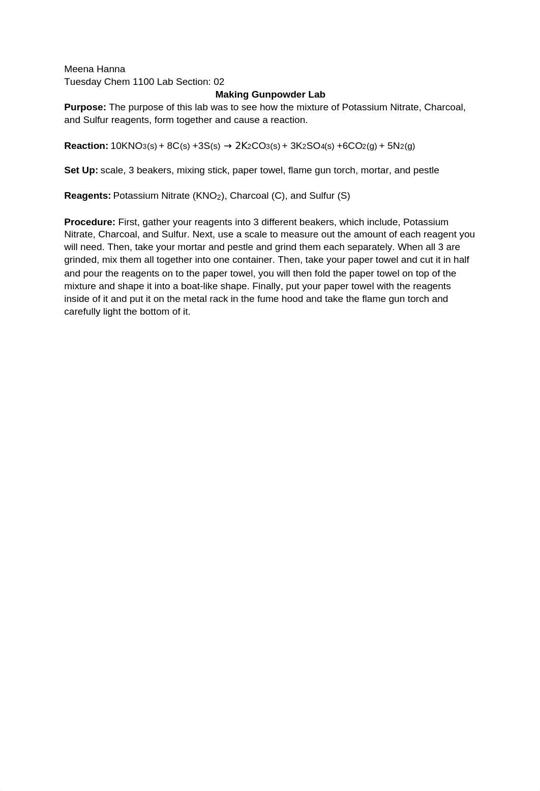 Hanna Chem Lab Report 2.docx_d1csa84qlsi_page1