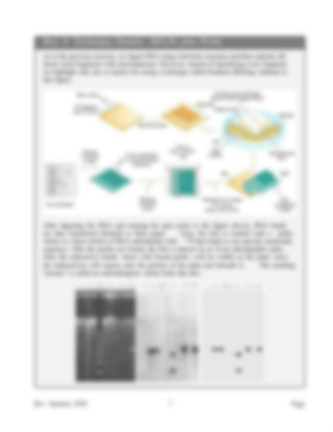 Applied-Genetics-Lab-Online.pdf_d1cw5k3j7u6_page2