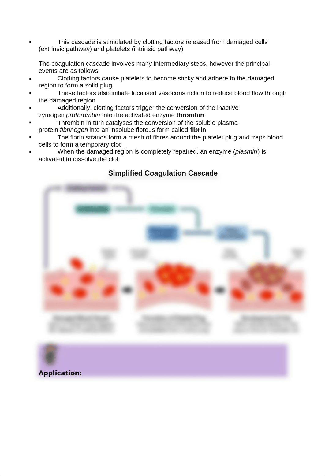 G11 End of year BIO practice.docx_d1d1r2z52sx_page4