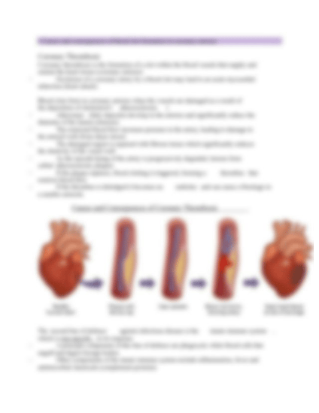 G11 End of year BIO practice.docx_d1d1r2z52sx_page5