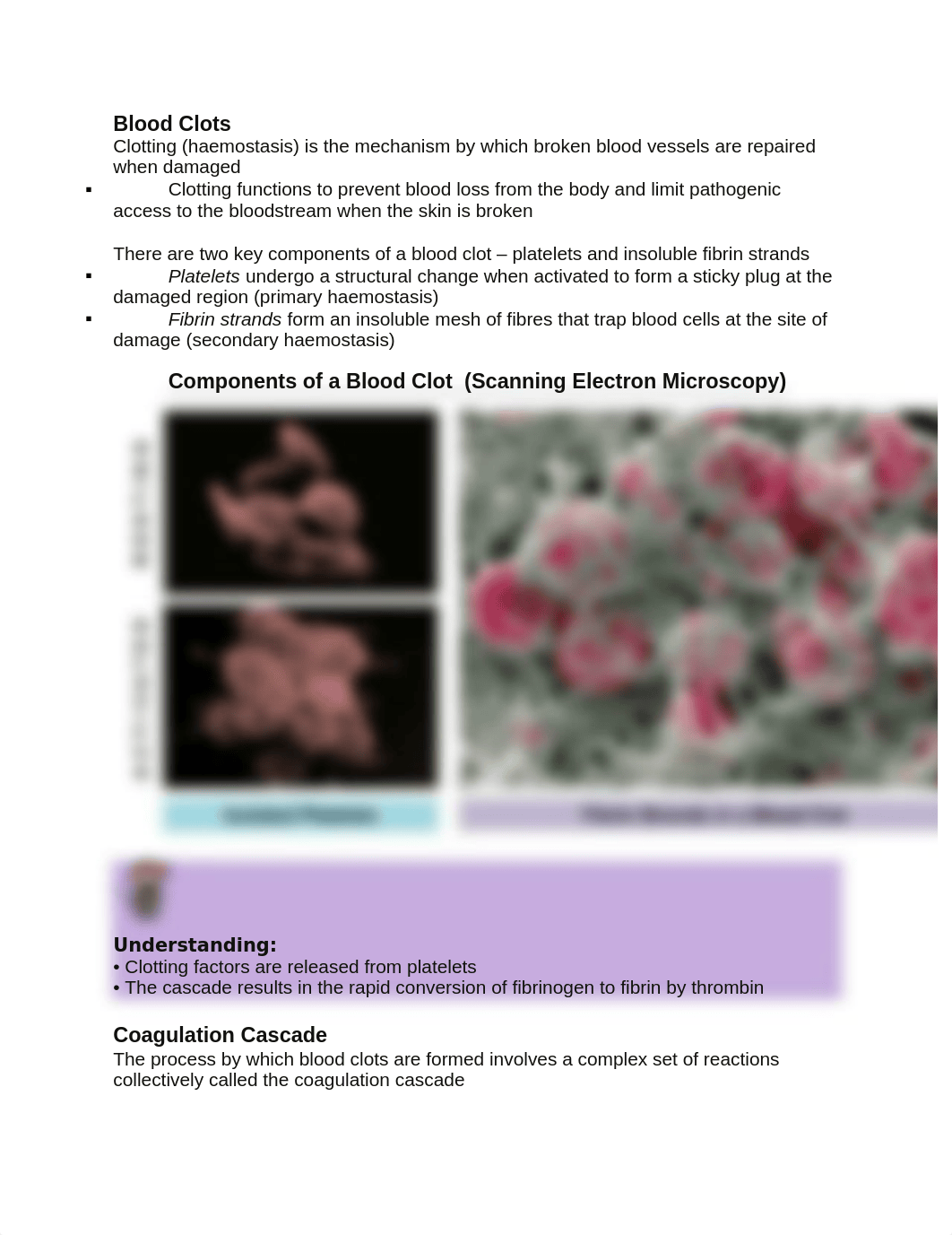 G11 End of year BIO practice.docx_d1d1r2z52sx_page3