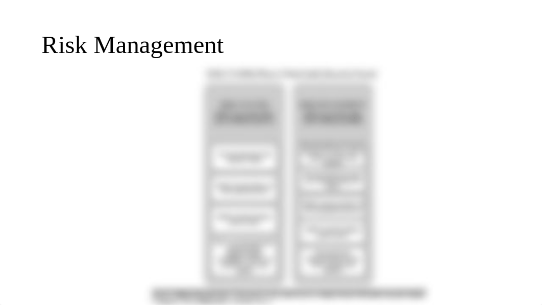 CYB 650 Risk Management.pptx_d1d5lhcw478_page4