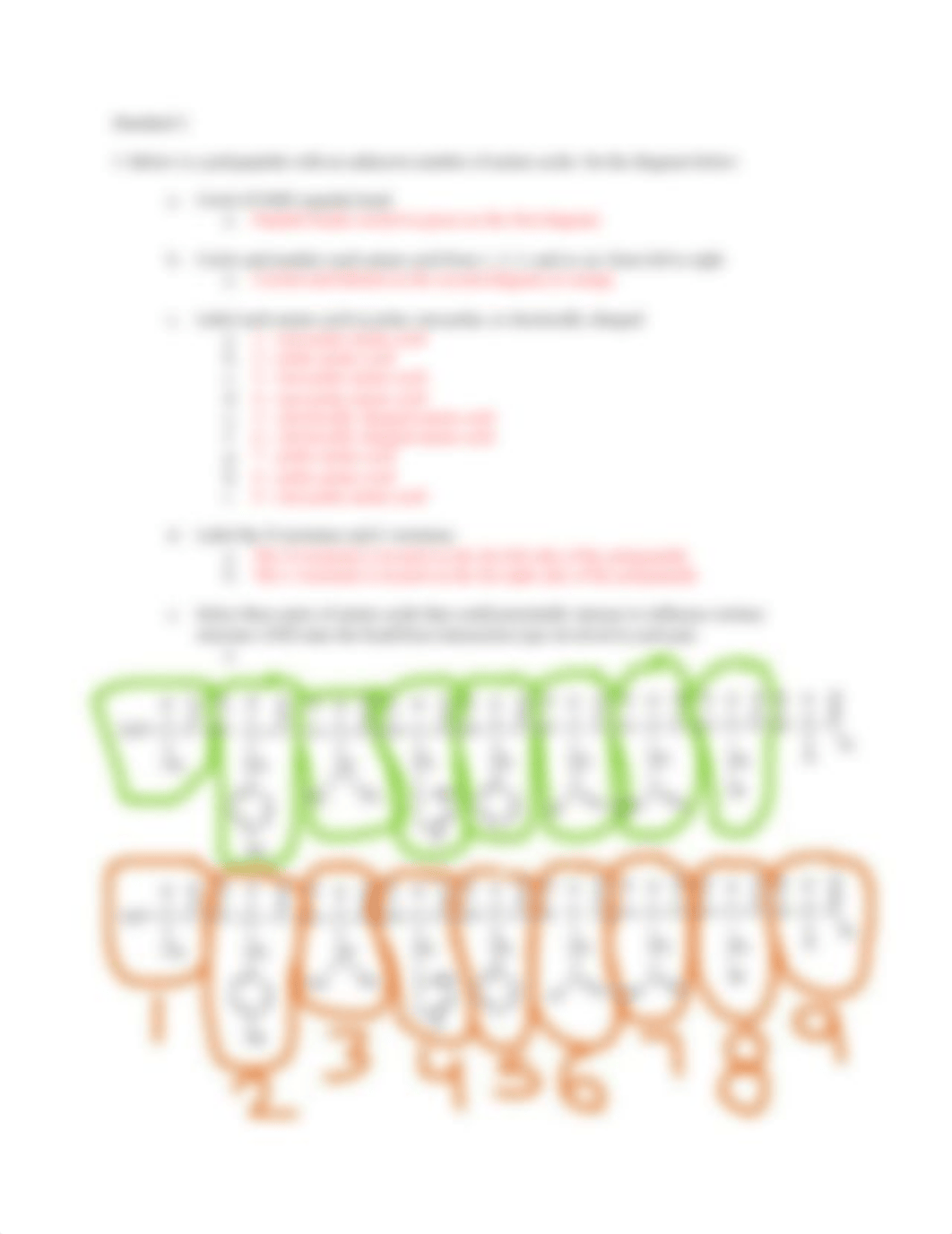 bio 150 problem set 3.docx_d1d5sobvyk4_page2