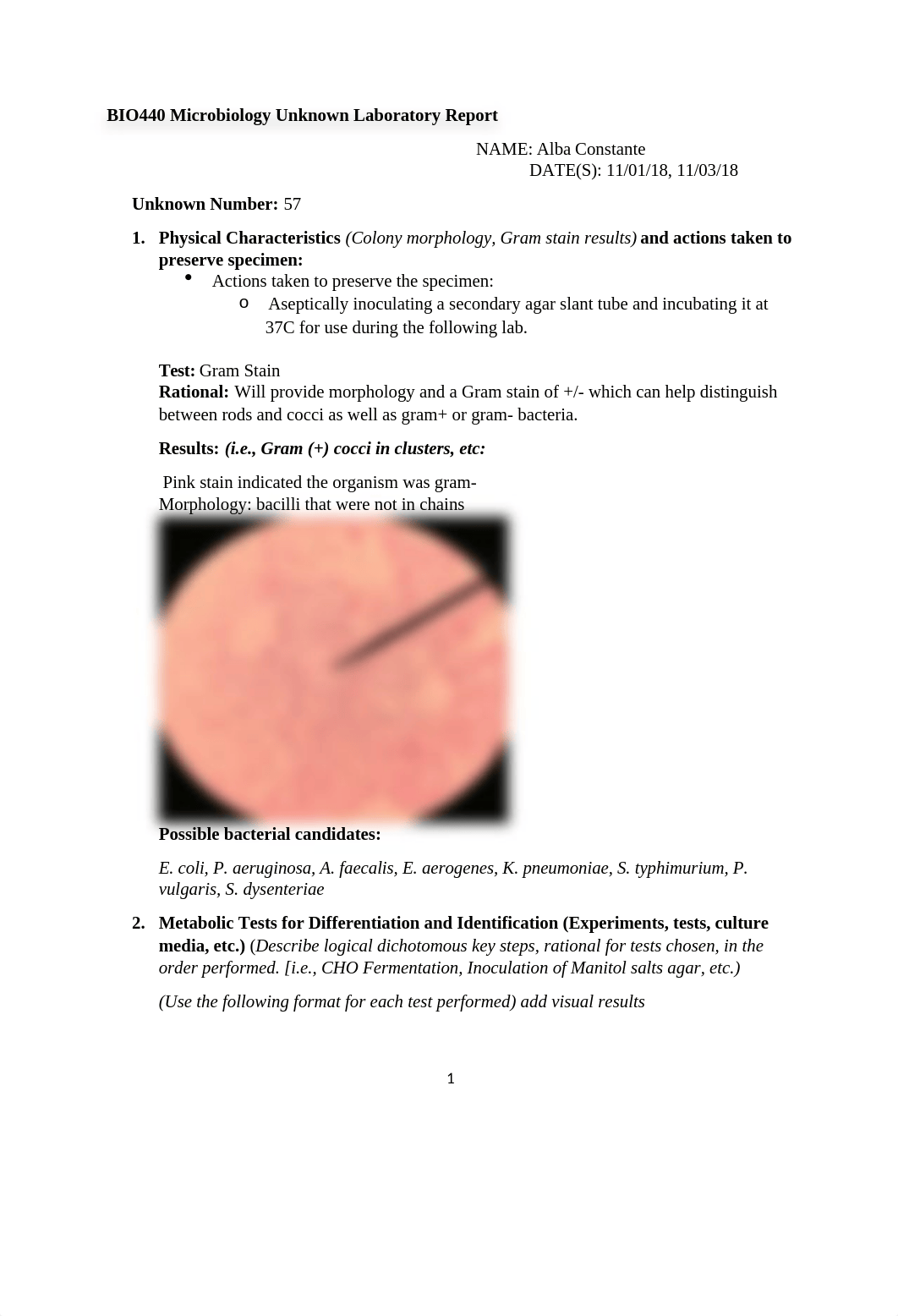 BIO440 Microbiology Unknown Lab Report (E. coli) (done).docx_d1d8e98yvg1_page1