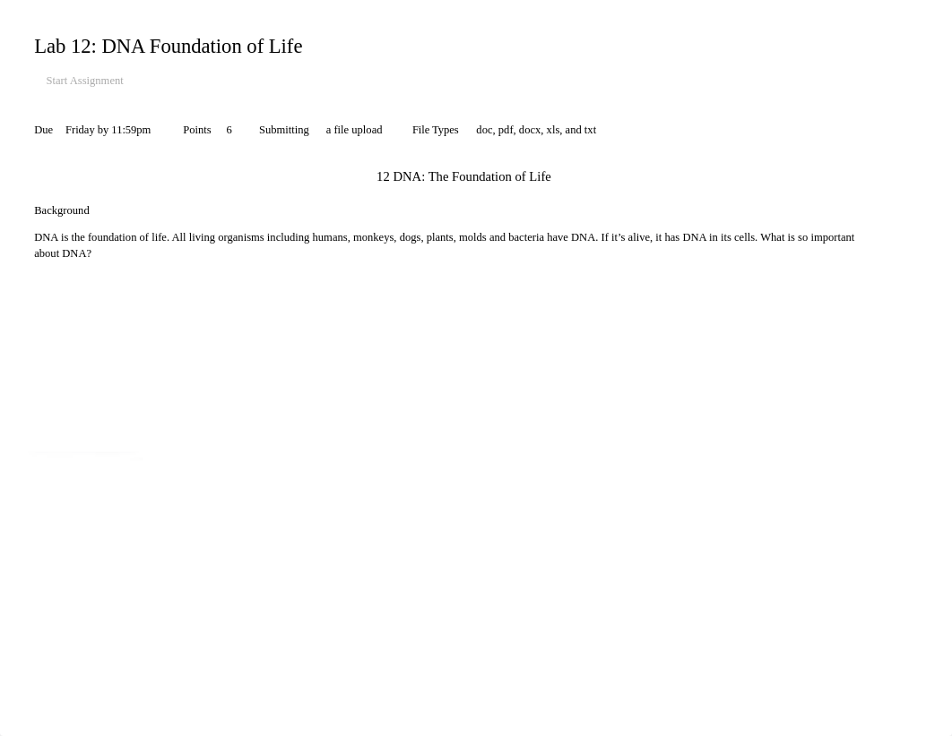 Lab 12_ DNA Foundation of Life.pdf_d1dak3iigwj_page1