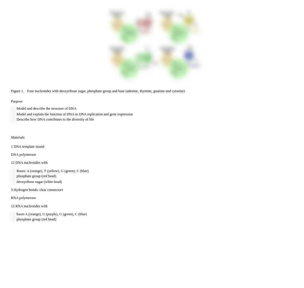 Lab 12_ DNA Foundation of Life.pdf_d1dak3iigwj_page2